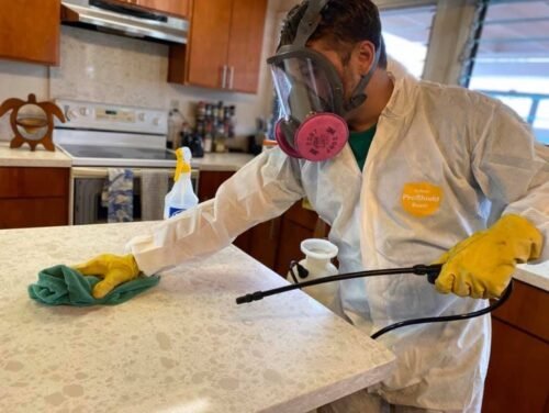 cleaning service aiea hi