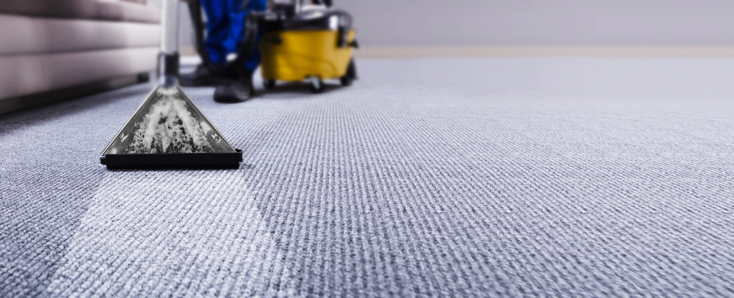 carpet cleaning close up